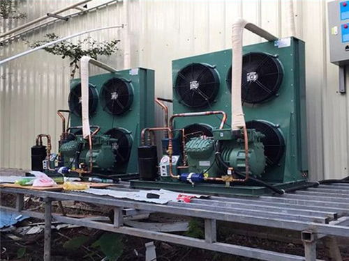 荔灣區(qū)冷庫工廠直營 健康為首，兼顧專業(yè)維修培訓(xùn)服務(wù)